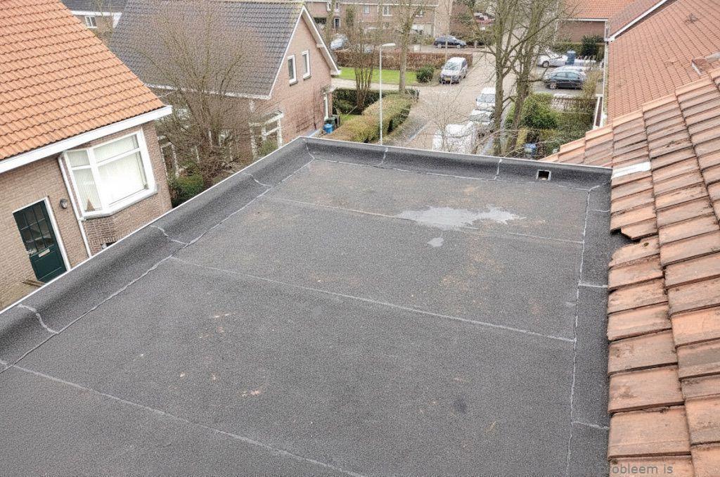 Dakdekker In Najaar Lochem