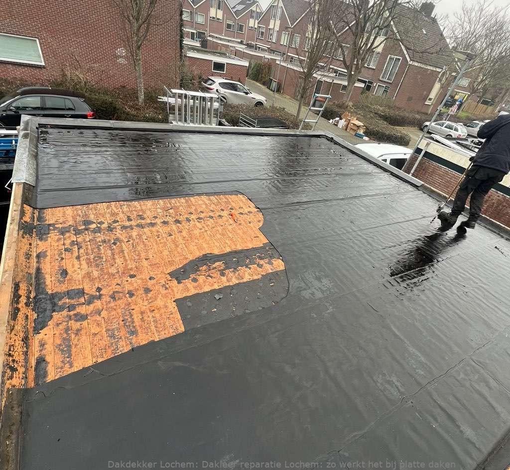 Dakleer Reparatie Lochem