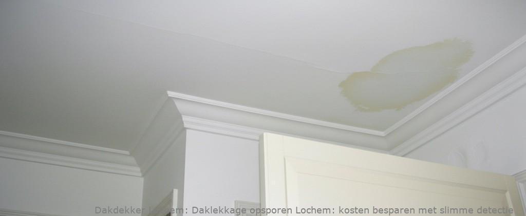 Daklekkage Opsporen Lochem 1