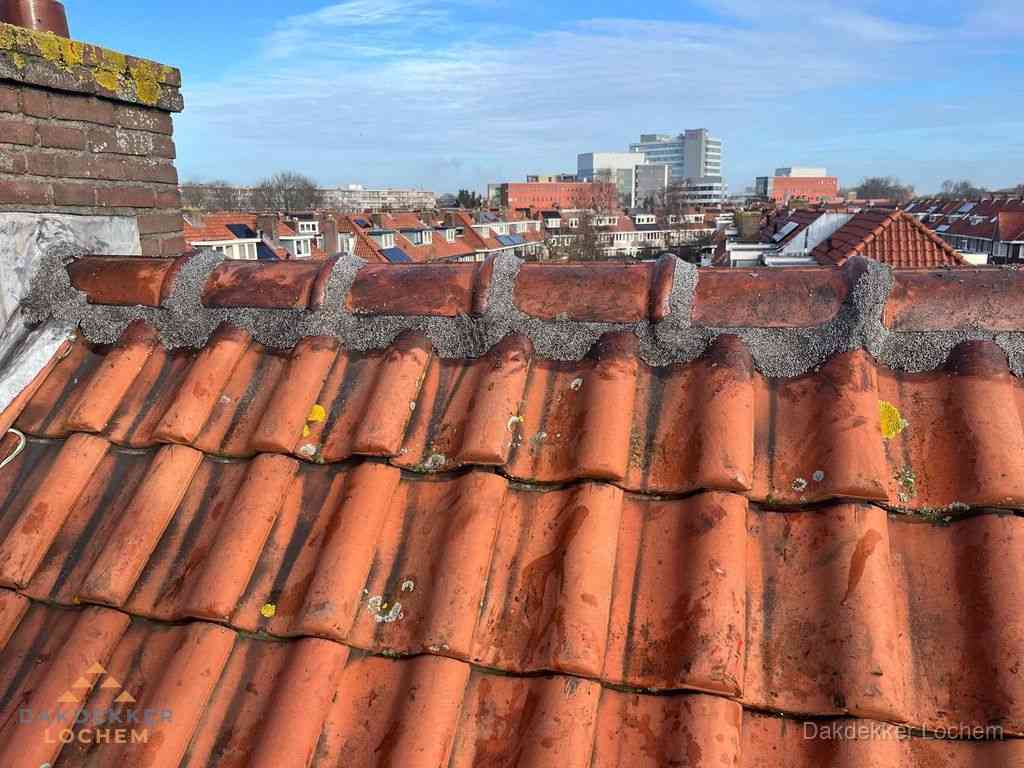 Lochem Daken Renoveren