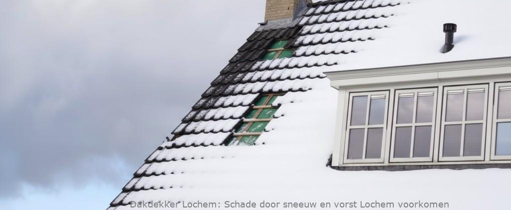Schade Door Sneeuw En Vorst Lochem