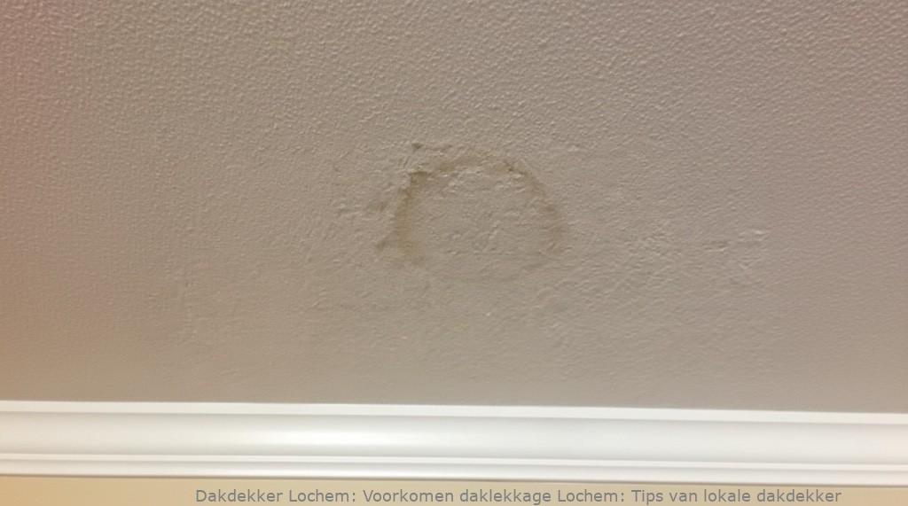 Voorkomen Daklekkage Lochem